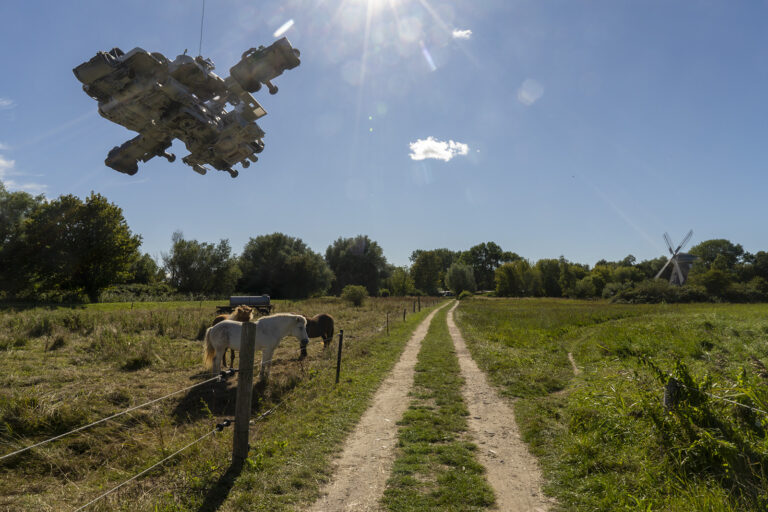 Martin Liebscher: Pferde, Ahrenshoop | 01.09.20 14:27